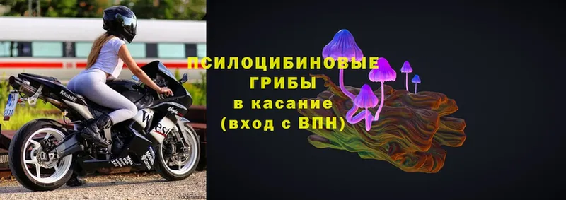 Псилоцибиновые грибы мицелий  Краснокамск 